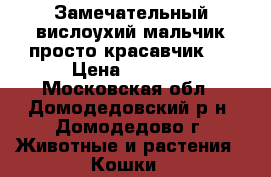 Замечательный вислоухий мальчик.просто красавчик)) › Цена ­ 3 000 - Московская обл., Домодедовский р-н, Домодедово г. Животные и растения » Кошки   
